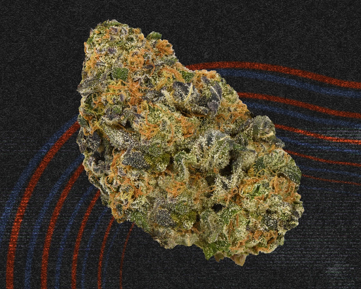 BZAM x Dunn Cake Crasher